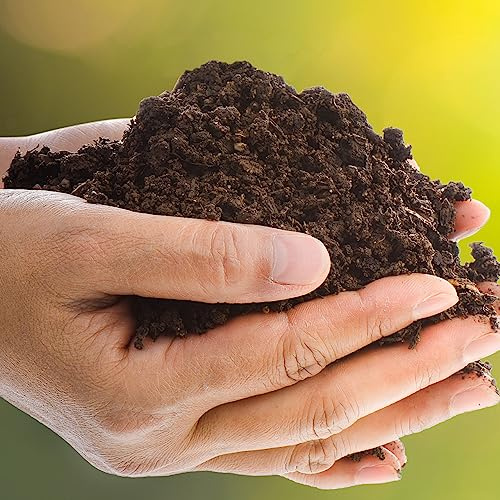 Sustrato de Plantas 10L Nutre tus Plantas Vivas con este Sustrato Premium