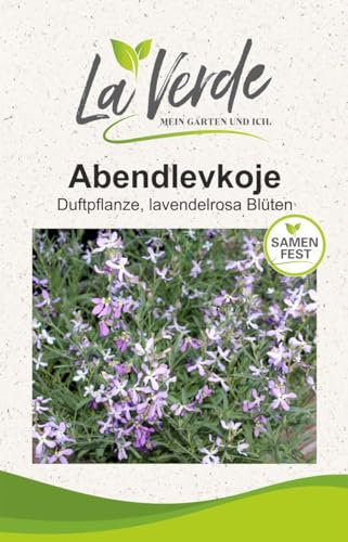 Abendlevkoje Blumensamen