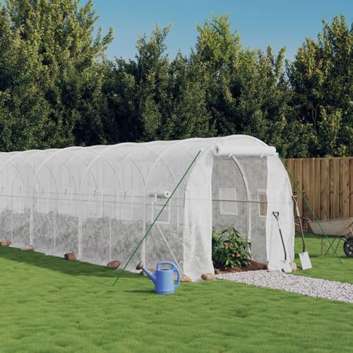 ShGaxin Serra con Struttura in Acciaio Bianco 40 m² 20x2x2 m, Serre Orto, Serre Giardino, Serre Terrazza, Orto Urbano, Grande portatile giardinaggio piantagione - 3188036
