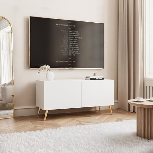 IDOHOME TV Lowboard stehend mit LED und 2 Fächern 100 cm Weiß Matt | 100 x 40 x 36 cm, Laminierte Platte, Mehr Stauraum, Push to Open, TV Zubehör, LED Beleuchtung
