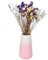Whole Housewares Vase de Fleurs en céramique – 15,2 x 7,6 x 7,6 x 7,6 cm – Style Minimaliste Moderne à Utiliser pour la Pampa ou la Tulipe – Vase esthétique pour centres de Table, Chambre à Coucher,