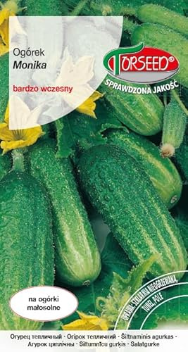 Verdica Monika Gurkensamen – Frühreif, Parthenokarpisch, Perfekt für Frische Salate & Einlegen, 10-12 cm Früchte, Ideal für Unbeheizte Gewächshäuser & Tunnel (1 Gramm)