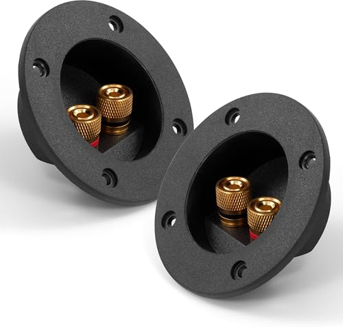 Tunejoy Lautsprecher Box Terminal mit Bananen Stecker Subwoofer Box Terminal 2 Wege Bindung für DIY Home Speaker Kit 2 Stück