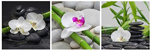 levandeo Glasbild 3er Set je 30 x 30 cm Wandbild Glas Orchideen Bambus Steine Deko Wellness Wanddeko Einrichtung