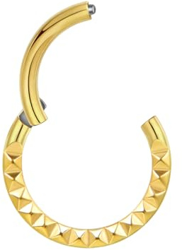 Lantine 16g Septum-Piercing Ring G23 Titan Gold 8mm Minimalist Scharnier Segment Clicker Helix Knorpel Daith Rook Conch Piercing Schmuck mit Marken-Samtbeutel