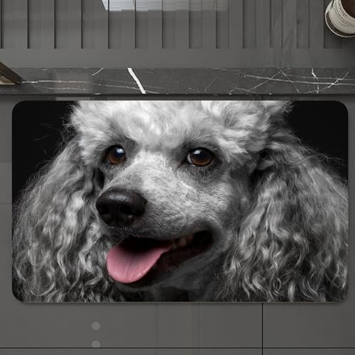 EMCLKS Alfombra Baño Antideslizante 60x90 cm,Animal, Retrato de caniche Gris con Pelo Rizado Gris Esponjoso y Ojos Marrones,Alfombrilla Absorbente, Alfombras Lavable a Máquina con Microfibras Suaves