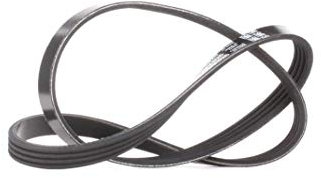 DAYCO 4PK926 Cinghia Poly V Suzuki Vitara Rover 216