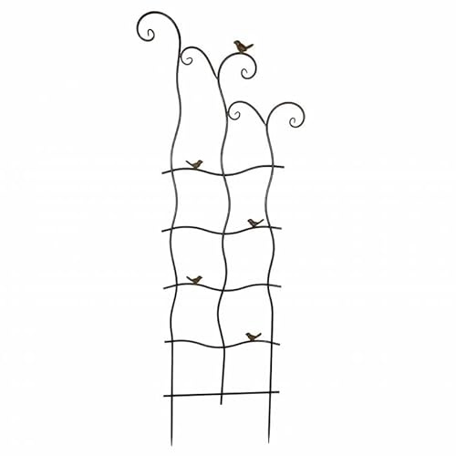 Grande Grille Motifs Oiseaux Treillis Tuteur Aspect Tordu à Fleurs Plantes en Métal Oxydé 3x54x148cm