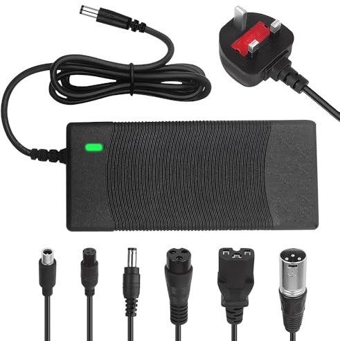DAJASD Electric Scooter Charger, 42V 2A Hoverboard Charger with 6 Connectors DC5.5 x2.1/DC5.5 x2.5/8mm 3 Prong /12mm 3 Prong /8mm RCA/3-Pin Male XLR, Electric Bike Chargers Only for 36V Li-ion Battery