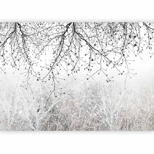 murando - Carta da Parati Moderna per Cameretta, Astratto, 400x280 cm | Fotomurali in TNT, Decorazione da Muro XXL, Poster Giganti da Parete, Botanica, Produzione Europea