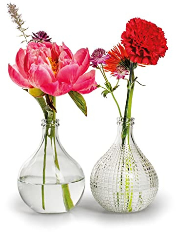 6 x Vasen aus Glas im Vintage-Look H 15 cm - Glasvasen - Tischvasen | Blumenvasen - Dekoflaschen - Glasflaschen für Blumen