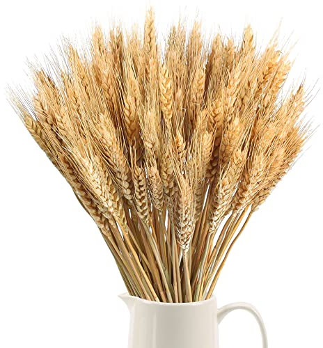 SLFYEE 100pcs Fleurs séchées Blé Naturel Fleurs séchées Décoration Fleurs séchées Blé pour Mariage Pièces centrales Maison Balcon Fête Table Vase Noël Décoration 40cm