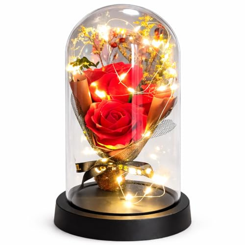 ENERGY GROUP ONLINE Rosa Eterna con Luci LED sotto Cupola, Regalo,Idea Regalo Romantica per San Valentino, Anniversario, Festa della Mamma – Decorazione Elegante per Casa (ROSE ROSSE 3)