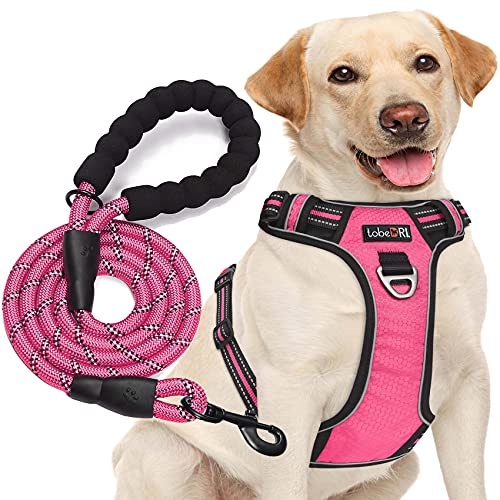 tobeDRI Reflective Adjustable Oxford Dog Harness for Medium Large Dogs with 5ft Heavy Duty Leash