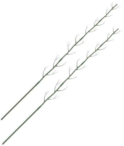 SOIMISS Tuteur De Plantes Grimpantes en PP Lot De 2 100 Cm pour Jardin Et Balcon Support De Plantes D'intérieur Treillis De Support Cadre pour Framboisiers Et Légumes