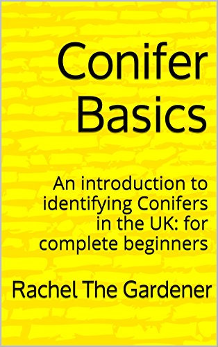 Conifer Basics: An introduction to identifying Conifers in the UK: for complete beginners (Botany Basics)