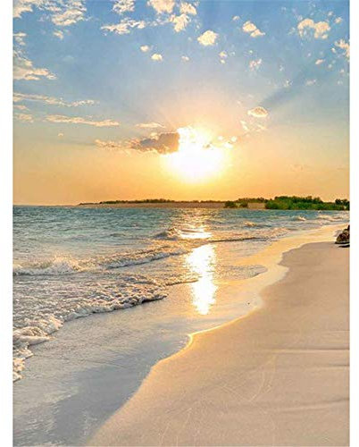 Yingxin34 Puzzle 3000 Teile,Strand am Meer Puzzle für Erwachsene, Puzzle Erwachsene anspruchsvoll, Geschicklichkeitsspiel für die ganze Familie-48.03x31.88 Zoll (122 x 81cm)