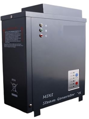 OPFVUJIKX Mini generador de Vapor eléctrico del Aroma de la Sauna, pequeño generador de Vapor de 500W 750W 1KW para SPA en casa