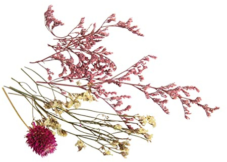 Rayher Mini Trockenblumen, zartrosa, Sortiert, lose, in PVC-Box, Trockenblumen, getrocknete Blumen, 85489254