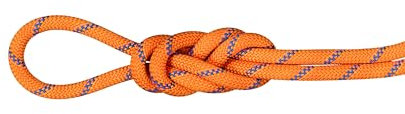 Mammut 9.0 Alpine Sender Dry Rope 60m