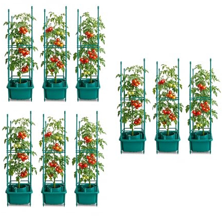 Plant Halo With Support Trellis Ladder Watering Ring for Tomatoes Self Watering Irrigation Planter System Tomato Grow Ring Root Watering Device for Garden Pots Raised Beds & Greenhouse Vegetables (6)