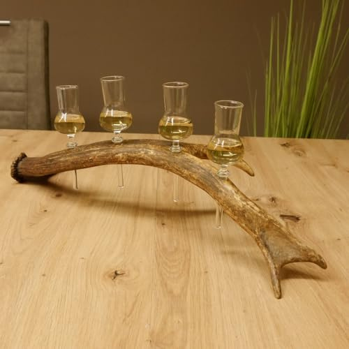 GTK - Geweihe & Trophäen KRUMHOLZ 27.60.2.48 Lot de 4 petits verres à piquer avec pied sur tige de cerf