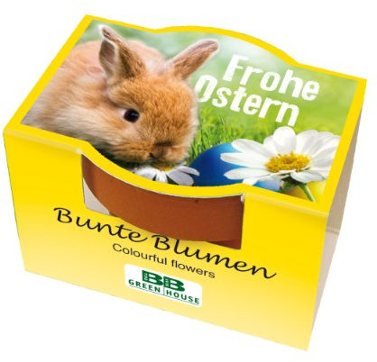 Bull & Bear Mini Pflanzset Frohe Ostern, mit Blumensamen im Topf, 4,5cm, Bunte Blumen als Anzuchtset mit Pflegeanleitung, Geschenk zu Ostern