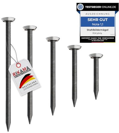 RIKAMA® – 50 chiodi per foto in mix di 10 x 20 mm, 25 mm, 30 mm, 40 mm, 50 mm, chiodi in acciaio per l'uso su cemento, mattoni, intonaco e legno – Made in Europe (argento con supporto)