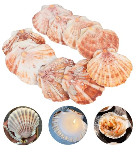10Pcs Blanco Grandes Conchas Naturales, 10-12cm Conchas de Mar Decoracion, Durabilidad Concha de Vieira Cocina, Concha Naturales de Playa para Artesanías, Peceras y Rellenos de Jarrones, Bodas Decoran