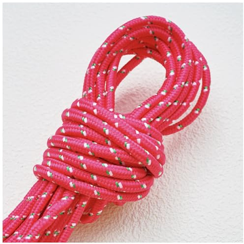 Qiantull 10 Meters Paracord Schnüre 5mm Seil Paracord Nylon Cord Bunt Paracord Seil für Camping, Survival, Outdoor, Hundeleine, Schlüsselanhänger, Halsband Armband 10#