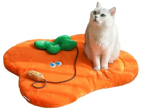 Generisch Cat Bed Mats Sleeping Place - Orange Floor Mat - Washable Mat for Rest, for Home, Kitchen, Home, Daily Rest, Night, Bedroom, Indoor