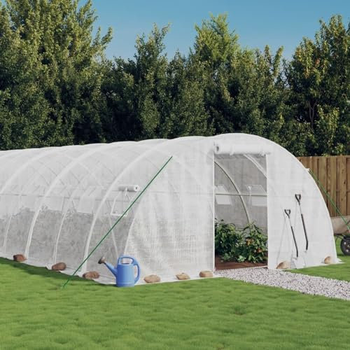 ShGaxin Serre avec Cadre en Acier Blanc 96 m² 24x4x2 m,Carport Abri Voiture,Serre Tunnel