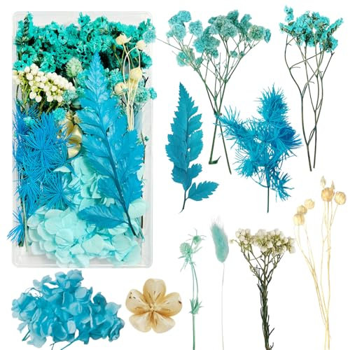 Slvoaujtk Flores Secas Manualidades Flores Preservadas Naturales Flores Secas Decorativas Flores Prensadas Secas Naturales para Marco de Foto DIY Decoración Artesanal (Azul)