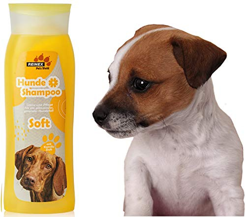 Entdecke das sensitiv Hundeshampoo für Deinen Hund - Pflege und Schutz für Tier und Fell - Das Welpenshampoo mit schonender Spülung - Für kämmbar gesundes Fell - Gegen unangenehmen Geruch 300ml