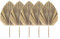 Kochenty 5 hojas de palma secas naturales, abanicos tropicales de palmera seca, decoración bohemia para el hogar, cocina, boda