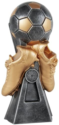 Art-Trophies AT14301 Trofeo Deportivo Deportes, Adultos Unisex, Plateado/Dorado, 26 cm