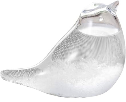 Dorccsi Sturmglas Wettervorhersage Kristall Wettervorhersage Flasche Wettervorhersager Sturmglas Sturmbarometer Wetterglas Tischplatte Vogel Dekor Barometer Glas Mini Handwerk Windspiele Windspiele