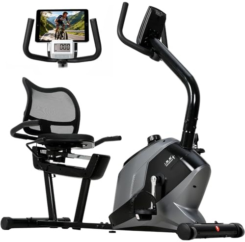ISE Cyclette da Seduta Magnetica con Schienale, Cyclette Orizzontale da Casa con 8 Livelli di Resistenza Schermo LCD Supporto per Smartphone