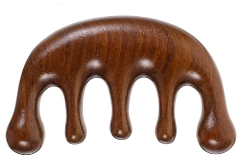 FRCOLOR Massage Kamm Holz Für Kopfhautmassage Holzmassagegerät Kammwerkzeug Für Entspannung Kompakte Haarpflege Für Familie Reisen Und Outdoor 1 Stück