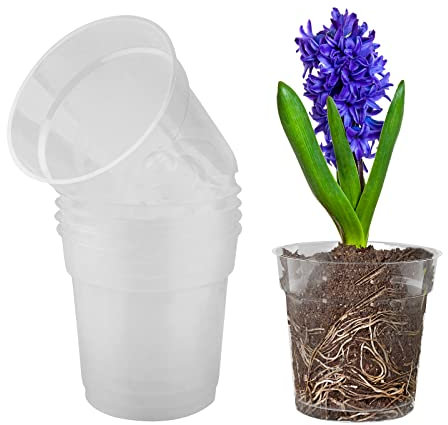 TSLBW 5 Pieza Vaso Trasparente per Orchidee Fiori in Plastica con Fori Drenaggio per Balcone Interno ed Esterno