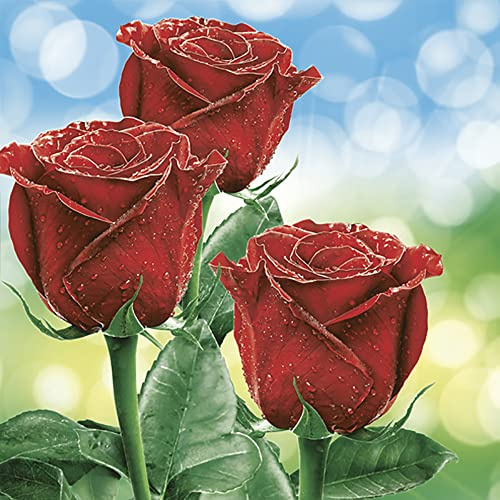 Daisy 3-Ply Flowers Tissue Paper Napkins Serviettes for Decoupage Lunch 33 x 33cm - Pack of 20 (Three Classic Red Roses)