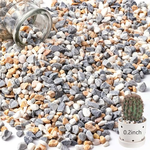 Ciottoli di ghiaia per piante grasse e cactus, rocce decorative di fiume da 1/5 di pollice per piante interne, pietre naturali lucide, ghiaia di piselli per acquari, vasi, fioriere, acquari, giardini