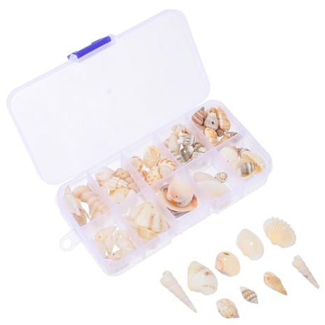 DECORNIJIA 1 Schachtel Fisch nautisch Muschelvase künstlich Muscheln basteln wohnungseinrichtung home decoration home dekoration Muschelhandwerk für Landschaft Desktop-Muschelhandwerk Hülse