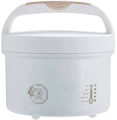 OLOTU Étanches Boîte à Lunch électrique 48 W, Chauffe-Plats pour Bureau de Camion de Voiture, Chauffe-Plats avec récipient Amovible en Acier Inoxydable Électrique