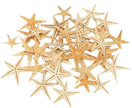 ORFOFE Mini Dekoration Meer Sternen Ornament Strass Im Landschaftsverschönerung Für Zuhause Bastelbedarf Und Kreative Projekte Beige