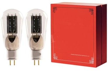 Vakuumröhre E-300B E300B HiFi Audio-Röhre Ersatz 300B WE300B A300B Röhrenverstärker-Kit DIY passend(2pcs Matched Pair)