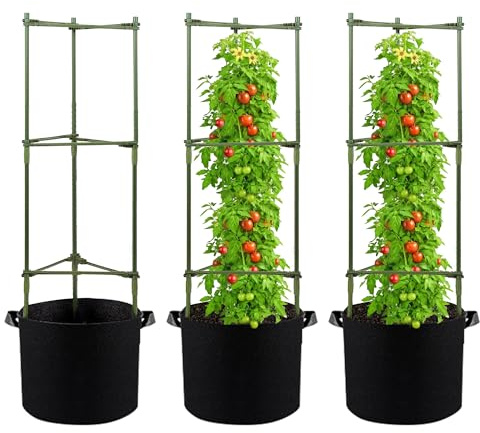GENMOUS Tomato Cages with Grow Bags - 48 Inch Tomato Trellis for Raised Garden Bed, 3-Pack Tomato Plant Support, with 10 Gallon Plant Grow Bags, Reusable and Height Adjustable