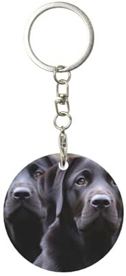 EgoMed Runder Metall-Schlüsselanhänger, Metall-Schlüsselanhänger, Autoschlüsselanhänger, Ringhalter, 1 Stück, Labrador-Hund