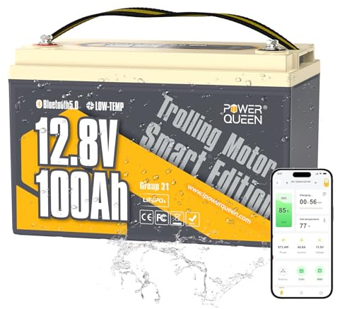 Power Queen 12V 100Ah Batterie Lithium Bluetooth, Batterie LiFePO4 avec 100A BMS et la Protection de Basse température, pour Système Solaire Domestique, Camping-Cars, Caravanes