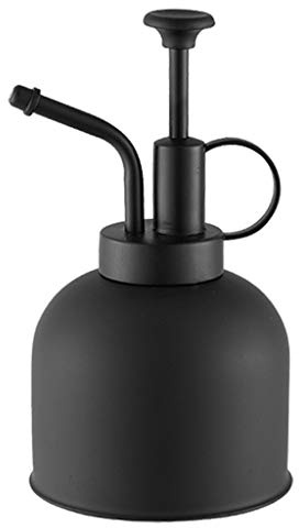 Lerpwige Annaffiatoio per piante e fiori, in acciaio inox, vintage, per parrucchieri, 300 ml, per attrezzi da giardino